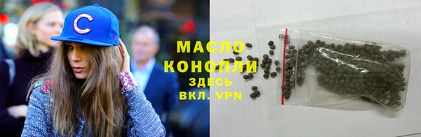 крисы Новодвинск