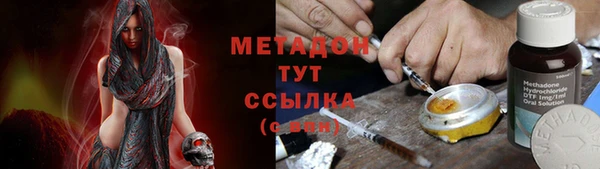 крисы Новодвинск