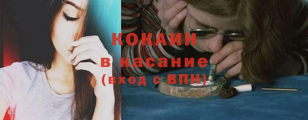 крисы Новодвинск
